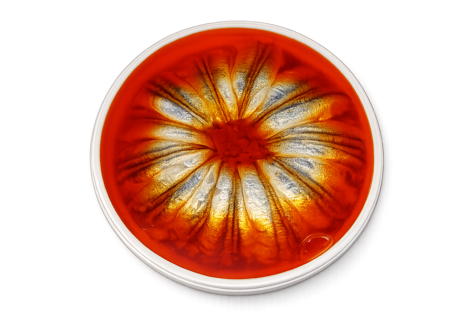 Anchois marinés à l’oriental – forme spéciale